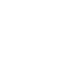 lupa icono